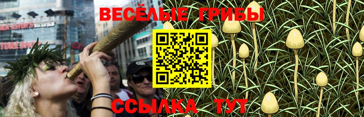 Псилоцибиновые грибы прущие грибы  Вход с VPN  Рассказово 