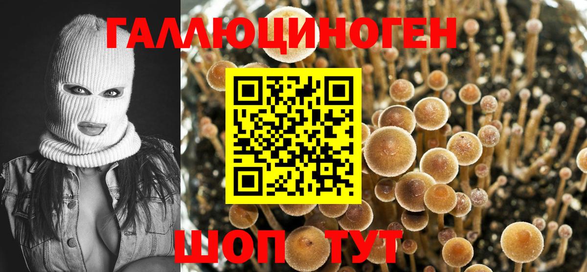 Галлюциногенные грибы Psilocybine cubensis Рассказово